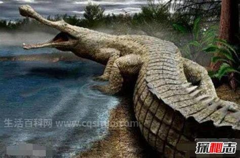 地球史前十大巨兽，霸王龙排名第二(第一名泰坦蟒身长15米)