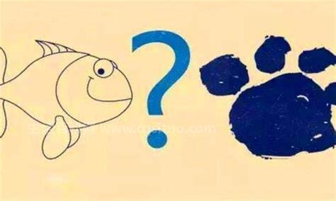 鱼与熊掌暗示着什么？鱼和熊掌不可兼得是什么意思