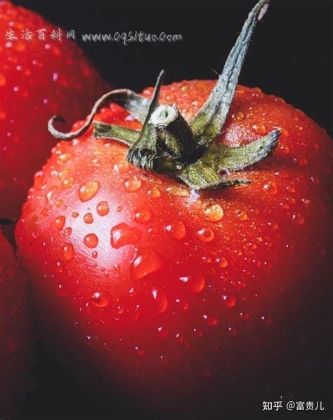 坚持吃西红柿一个月能变白吗,帮助皮肤保持弹性和光滑