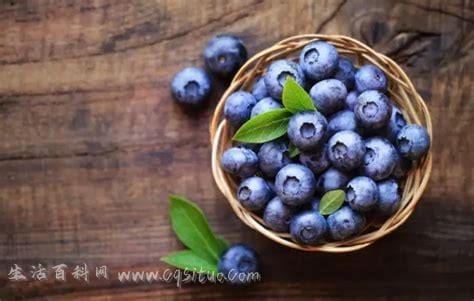 每天吃一把蓝莓坚持一年后案例,改善视力/降低血糖6个好处