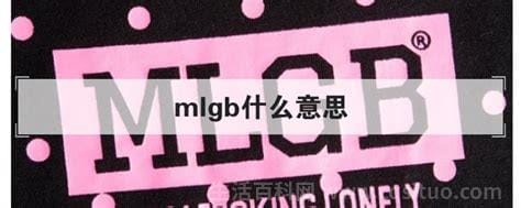 mlgb骂人什么意思？mlgb什么意思