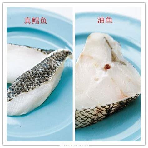油鱼和鳕鱼的区别，6个不同（外观颜色/鱼肉肉质）优质