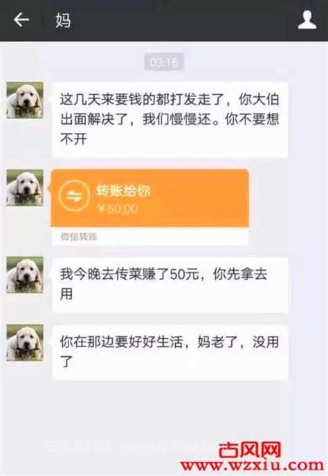 妈传菜是什么梗？妈传菜是什么意思