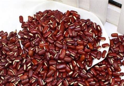 赤小豆是什么，属于粮食作物优质