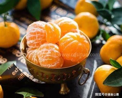 春见是什么水果有什么功效与作用，柑橘的品种优质