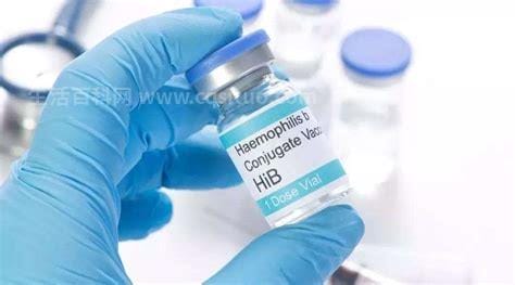 hib是什么疫苗，可预防脑膜炎的自费