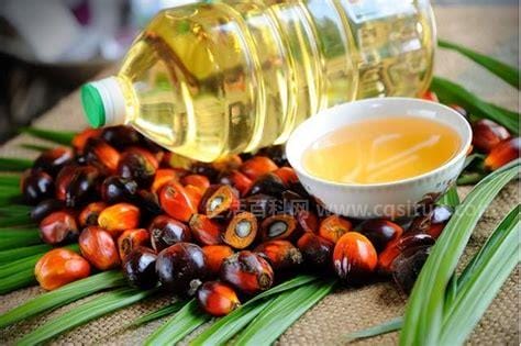 棕榈油的危害，容易发胖导致高血压等