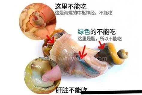 海螺的吃法哪个部位不能吃(外壳／鳃／