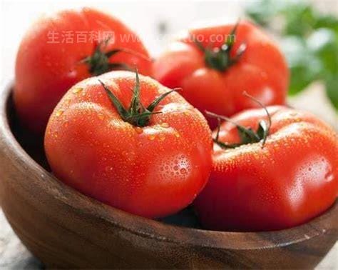 青番茄的营养价值 青番茄有没有毒