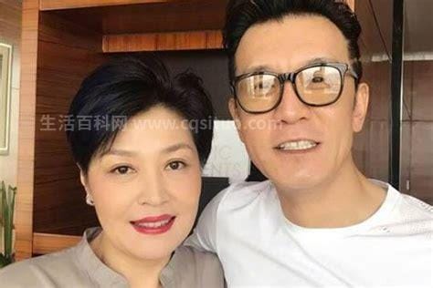 李咏老婆哈文的简介 李咏老婆个人资料简介