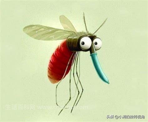 第一只蚊子的来历，起源／进化／传播疾病