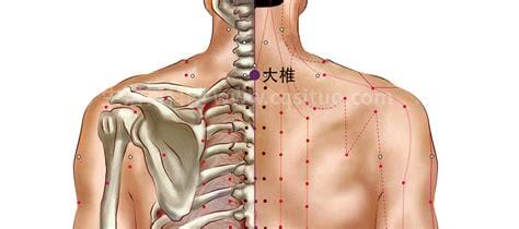 大椎的准确位置图和作用，位置／作用／注