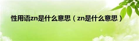 性用语zn是什么意思