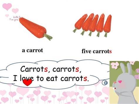 carrot怎么读