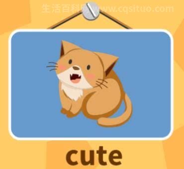 cute怎么读