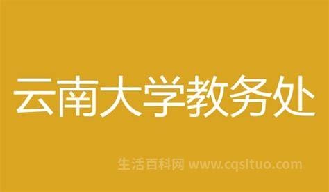 云南大学教务处网站 云南大学教务管理系统登录入口