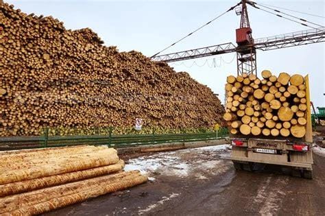 北京附近的木材批发市场在哪