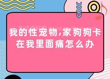 我家狗狗卡在我里面痛怎么办