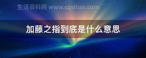 加藤之指到底是什么意思 加藤之指到底是什么意思啊