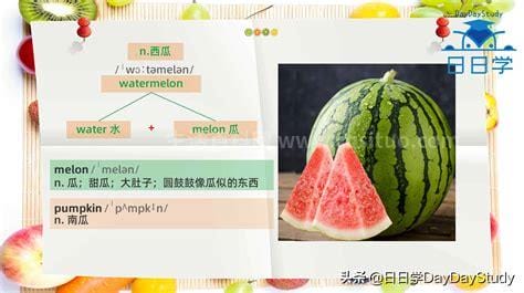 watermelon怎么读