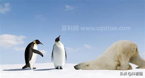 大多数企鹅生活在哪里 南极沿海地