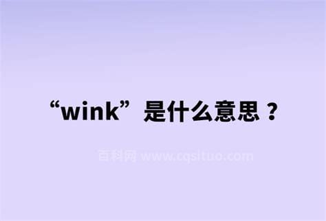 wink是什么意思网络用语，眨一只眼睛