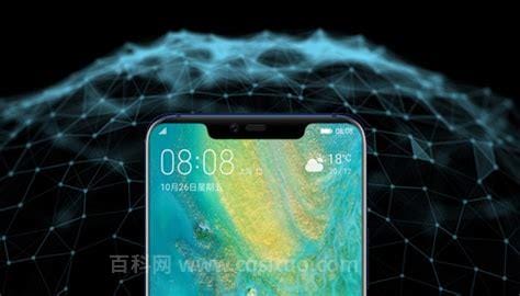 为什么手机变成黑白屏，手机设置错了或者是系统坏了