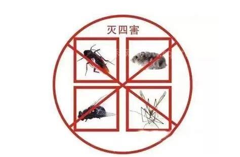 四害是指哪4种，苍蝇/老鼠/蚊子/蟑螂四种害虫