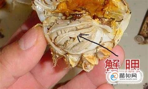 螃蟹哪些部位不能吃图解 腮/胃/心/肠（有的很脏有的有毒）