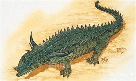 鳄鱼的祖先是什么 三叠纪爬行动物（