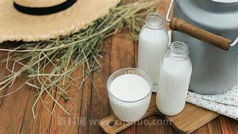 牛奶为什么被称为液体面包，都有着很高的营养价值/便宜