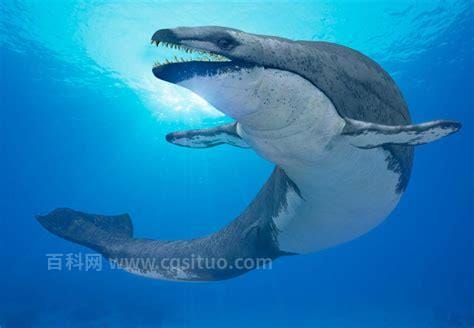 史前灭绝的五大巨兽 巨齿鲨为顶尖捕猎者（个个体型巨大）