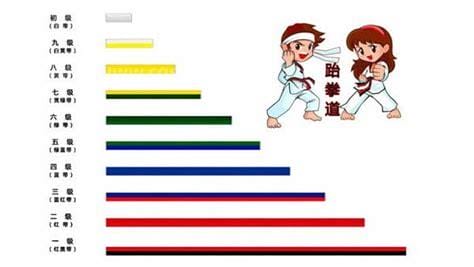 跆拳道段位颜色，共有十种颜色等级(