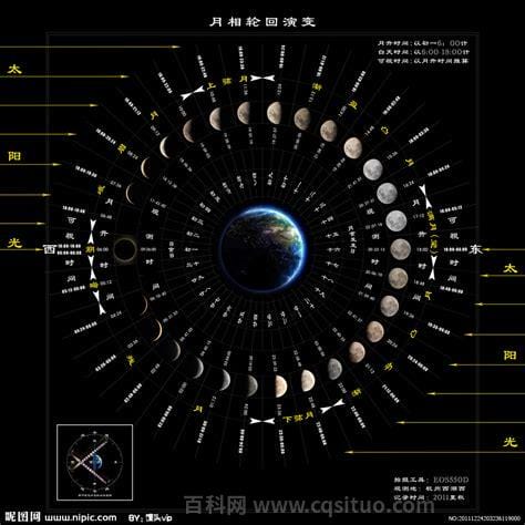 月相变化图，8种形状的变化(满月最亮)