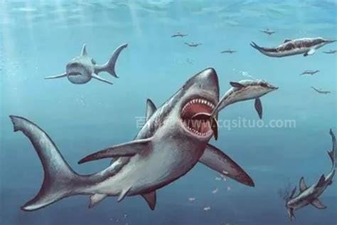 巨齿鲨的祖先是什么，耳齿鲨(进化成为海洋霸主)