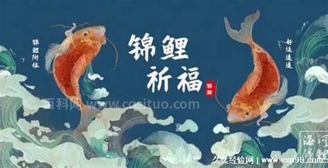 求锦鲤是什么意思 锦鲤有好运的意思