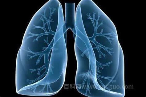 白痰多可能预示三种病，呼吸道疾病尤为常见(重视肺疾病)