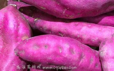 坚持每天吃紫薯的好处,具有很强的抗氧化作用