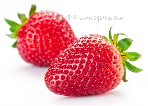 北方草莓是什么季节的水果,是冬季（