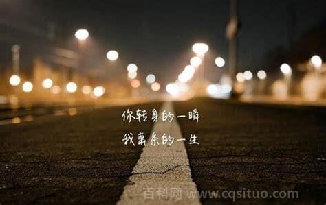 抖音最后是我一个人走过这片海歌曲歌词分享