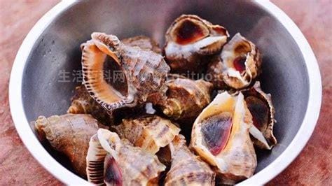 海螺的做法煮多长时间，最快5分钟大小海螺时间不同优质