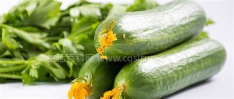 吃黄瓜7个要命禁忌，不宜弃汁食用/不能和花生一起吃优质