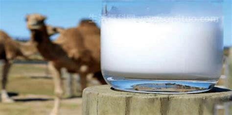 五种人不能喝骆驼奶，分别肝癌患者/新生儿/糖尿病患者优质