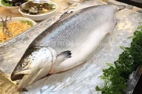 三文鱼头为什么便宜多少钱一斤，吃法