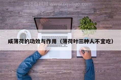 薄荷叶三种人不宜吃，分别是孕妇及哺乳期/胃病的人优质