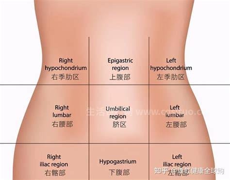 最全左腹部疼痛对照表，左中腹部的疼