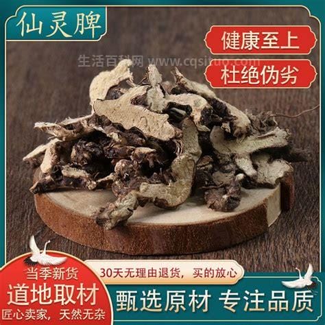 仙灵脾的功效与作用的功能与主治优