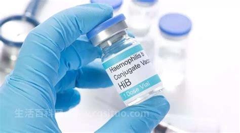 hib是什么疫苗，预防b型流感嗜血杆菌疫苗（接种时间）优质
