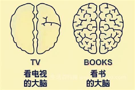经常看小说对大脑的影响，有一点（长期看小说有什么危害）优质