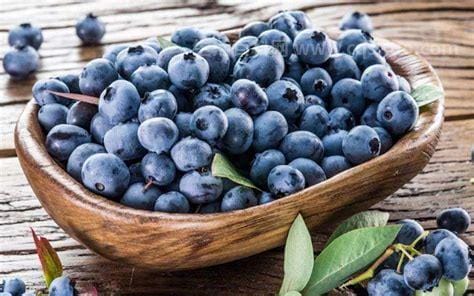 女性吃蓝莓的6个好处，好处多多不亦